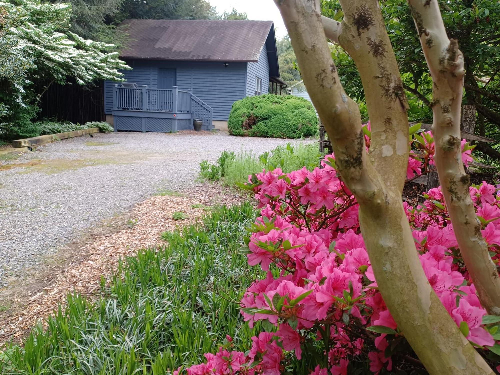 Restored1850S Log Cabin, With Gazebo And Gardens! 1 Mile To Downtown Weaverville Bagian luar foto