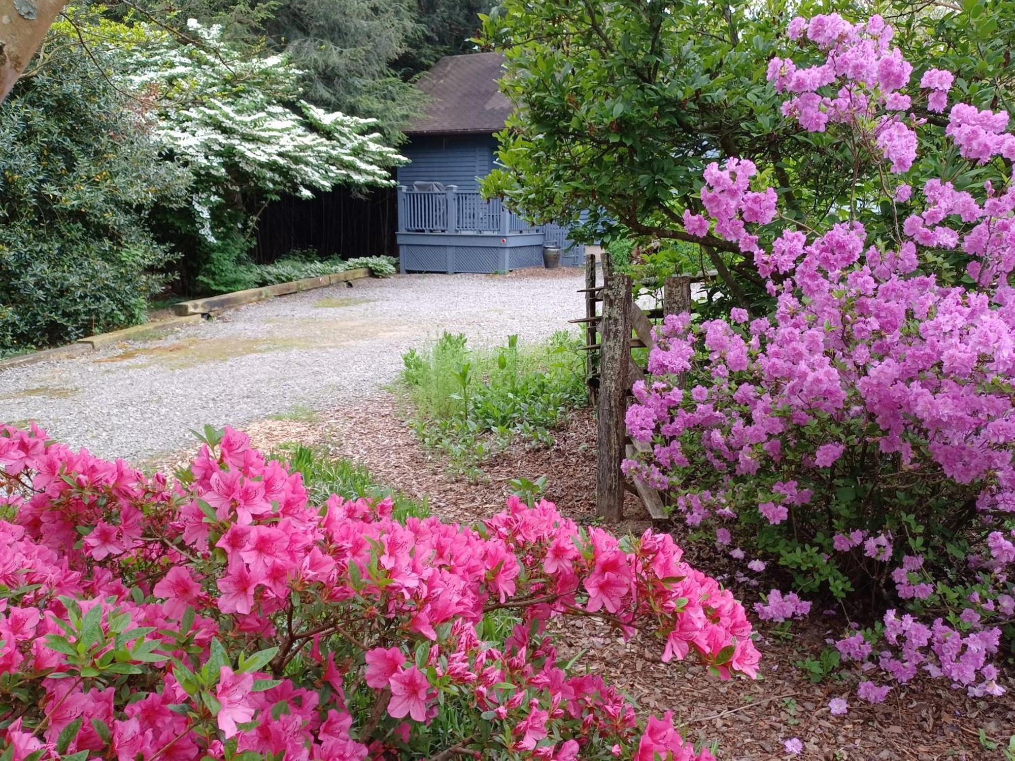 Restored1850S Log Cabin, With Gazebo And Gardens! 1 Mile To Downtown Weaverville Bagian luar foto
