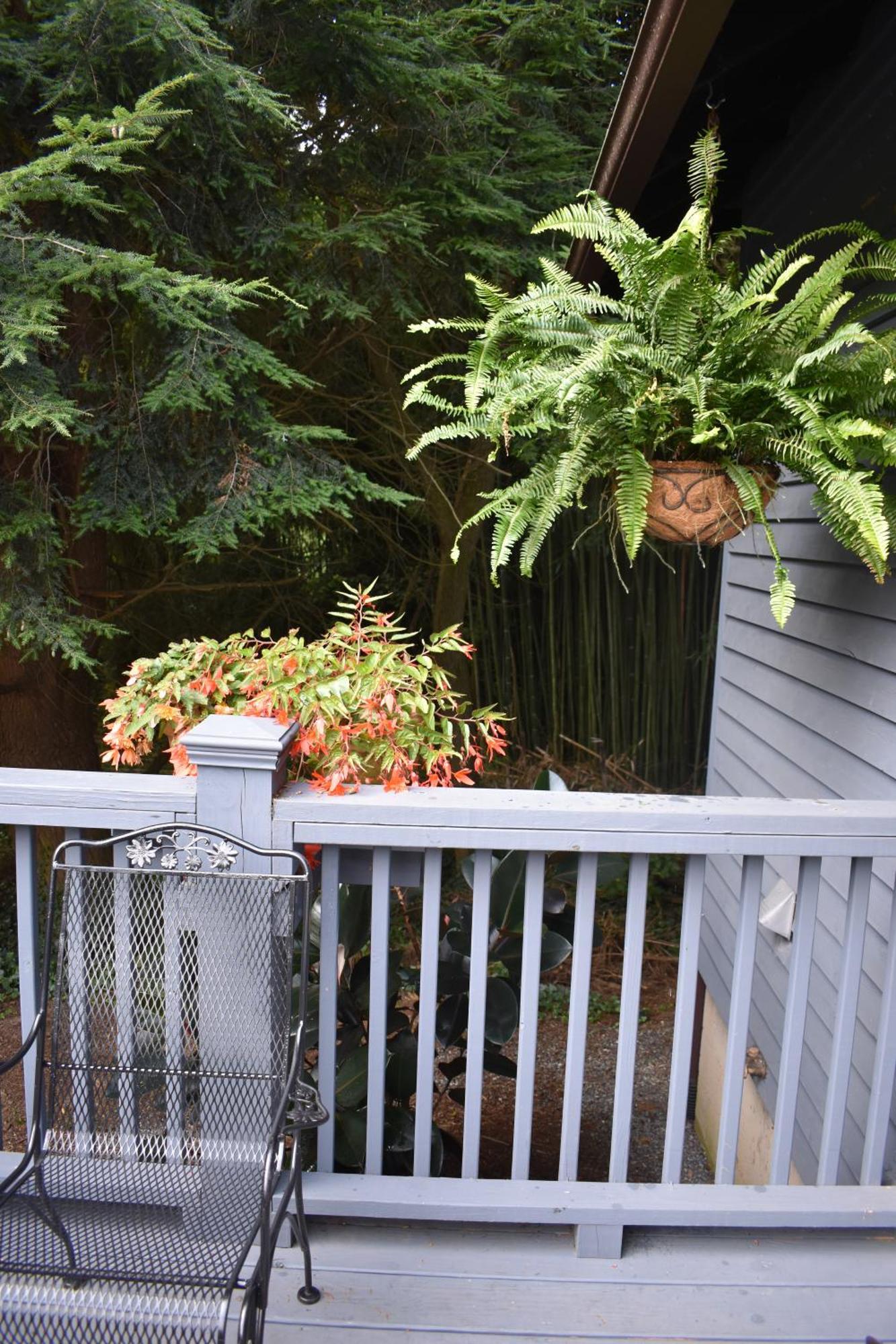Restored1850S Log Cabin, With Gazebo And Gardens! 1 Mile To Downtown Weaverville Bagian luar foto