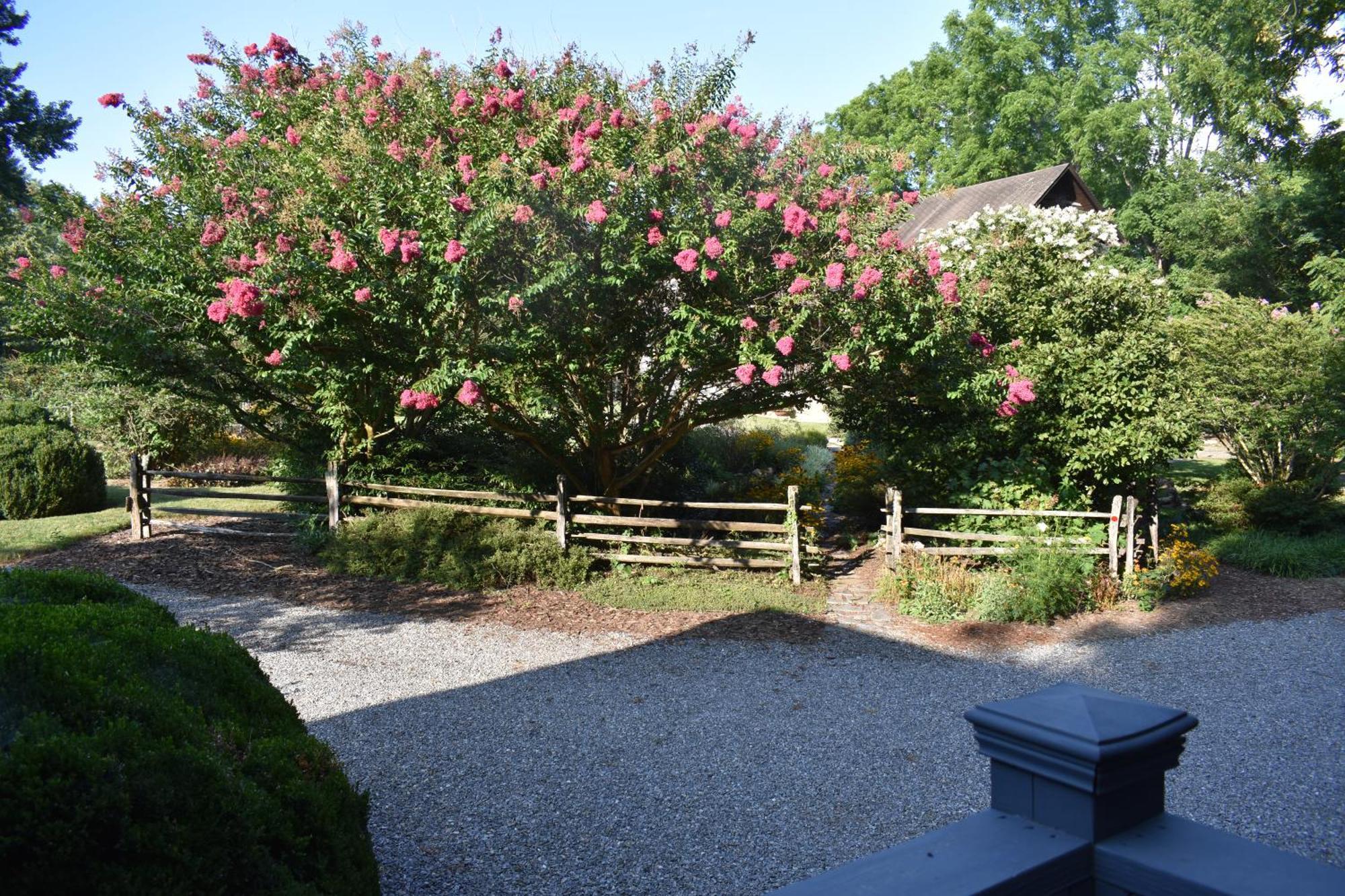 Restored1850S Log Cabin, With Gazebo And Gardens! 1 Mile To Downtown Weaverville Bagian luar foto