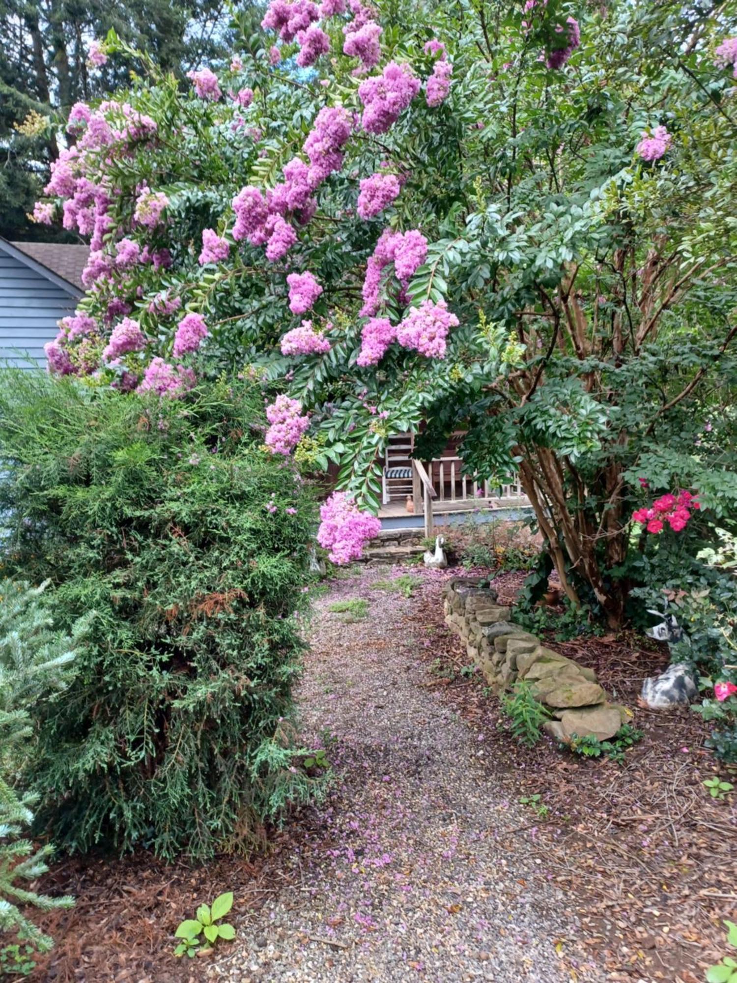 Restored1850S Log Cabin, With Gazebo And Gardens! 1 Mile To Downtown Weaverville Bagian luar foto